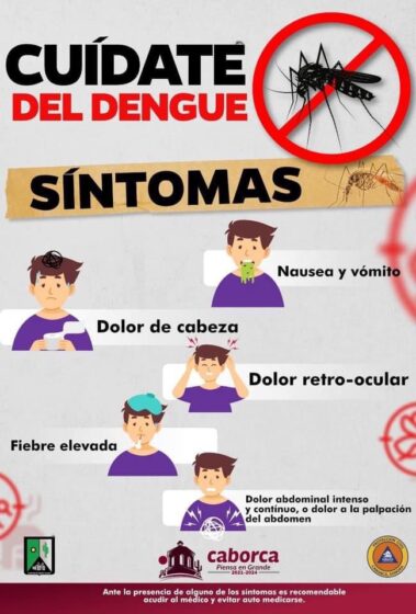 Elimina posibles criaderos del mosquito transmisor del dengue