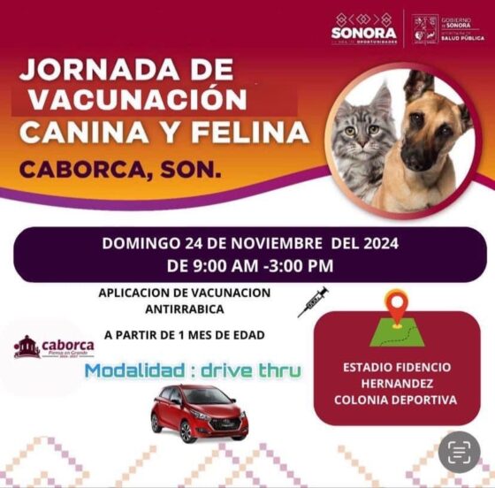 Aprovecha la Jornada de Vacunación Canina y Felina en su modalidad Drive Thru este domingo