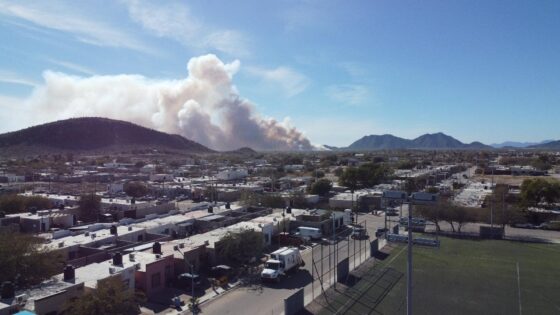 El Gobierno Municipal de Caborca refuerza acciones para proteger el medio ambiente y a la ciudadanía