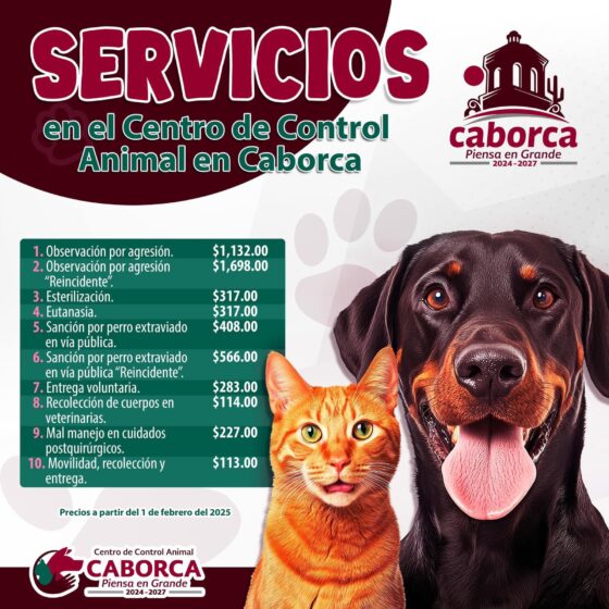 Conoce todos los servicios que el Centro de Control Animal de Caborca te ofrece