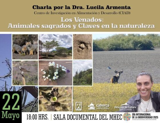 Asiste a la Charla “Los Venados: Animales Sagrados y Claves en la Naturaleza”