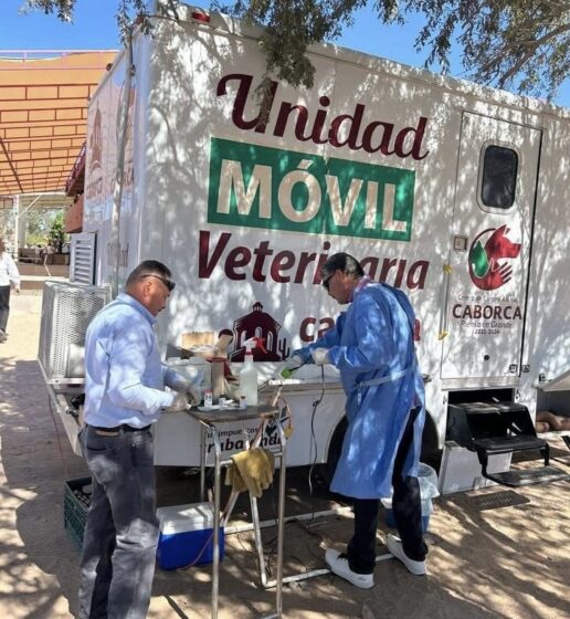 Realizan con éxito jornadas de esterilización y vacunación gratuitas en la ciudad y la costa