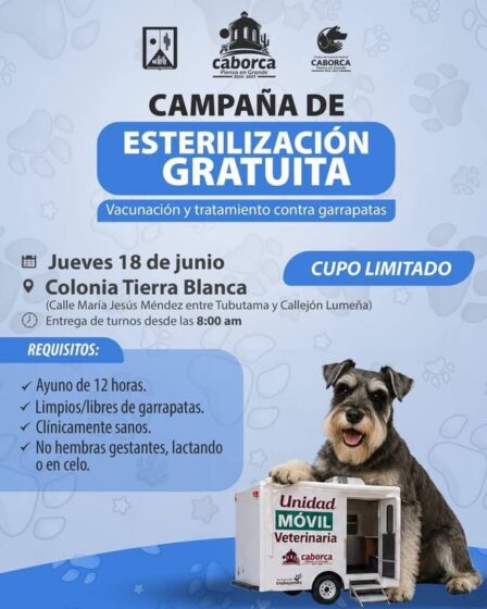 Llegará la Unidad Móvil Veterinaria a las colonias Tierra Blanca y Palo Verde