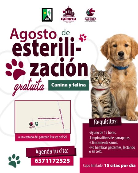 Reanuda Centro de Control Animal de Caborca Campaña Gratuita de Esterilización durante agosto