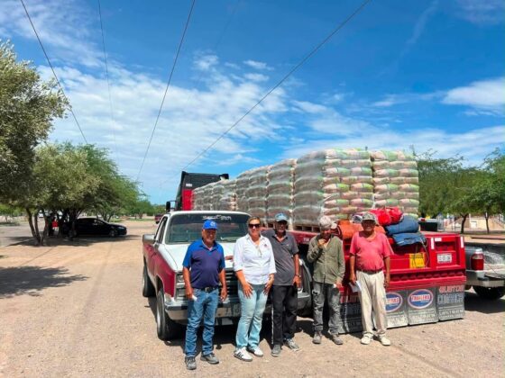 Entrega Ayuntamiento de Caborca cemento y mortero a familias mediante programa de Mariana Trinitaria.