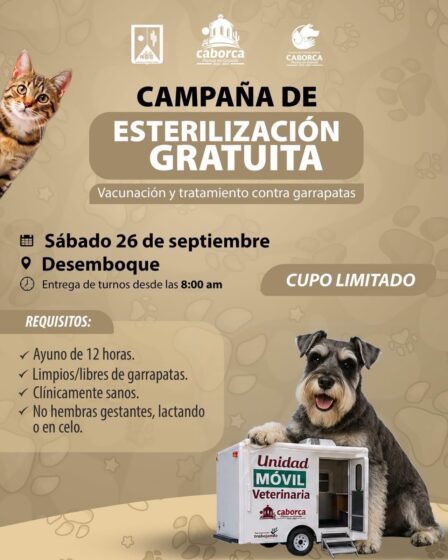 Llegará la Unidad Móvil Veterinaria a la comunidad del Desemboque